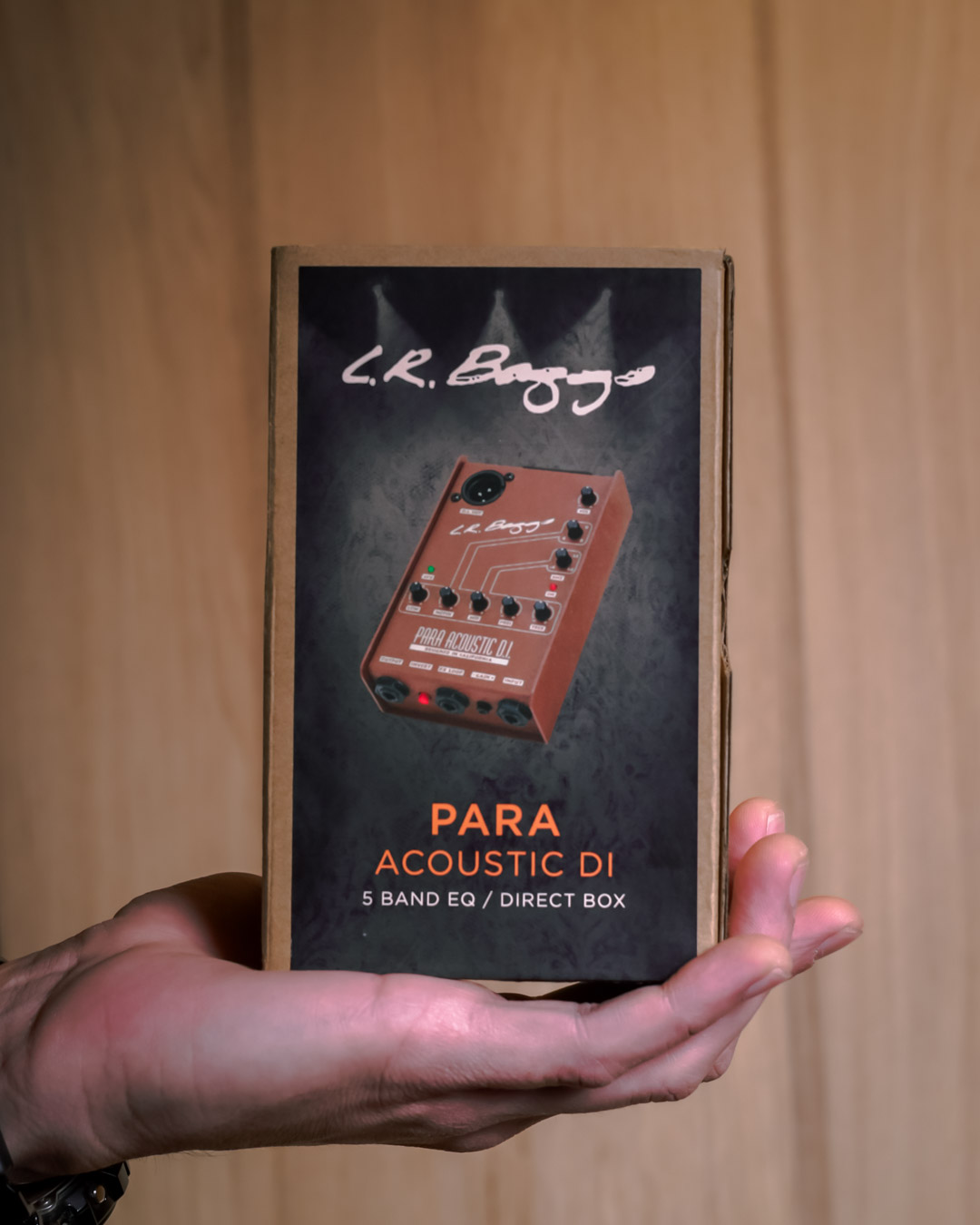 LR Baggs Para DI - Singular Guitar