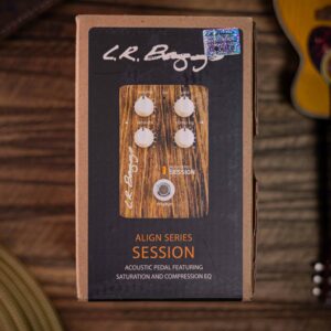 LR Baggs Align Session
