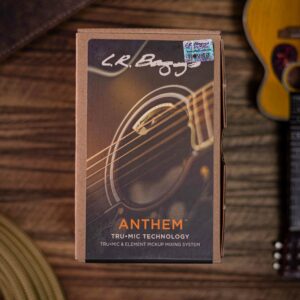 LR Baggs Anthem Tru-Mic