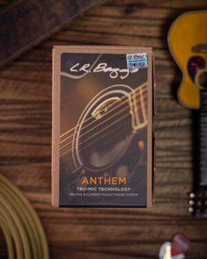 LR Baggs Anthem Tru-Mic