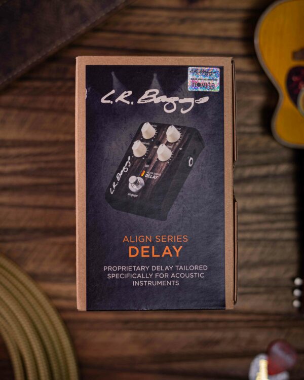 LR Baggs Align Delay