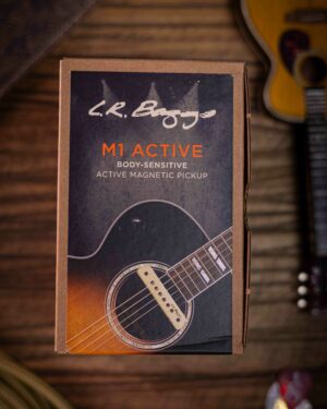 LR Baggs M1 Active
