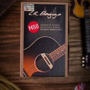 LR Baggs M80