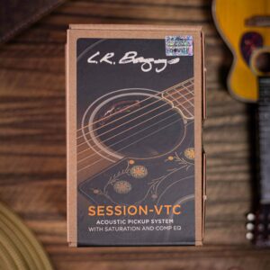 LR Baggs Session VTC