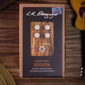 LR Baggs Align Session