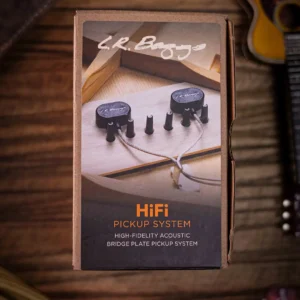 LR Baggs Hi-Fi
