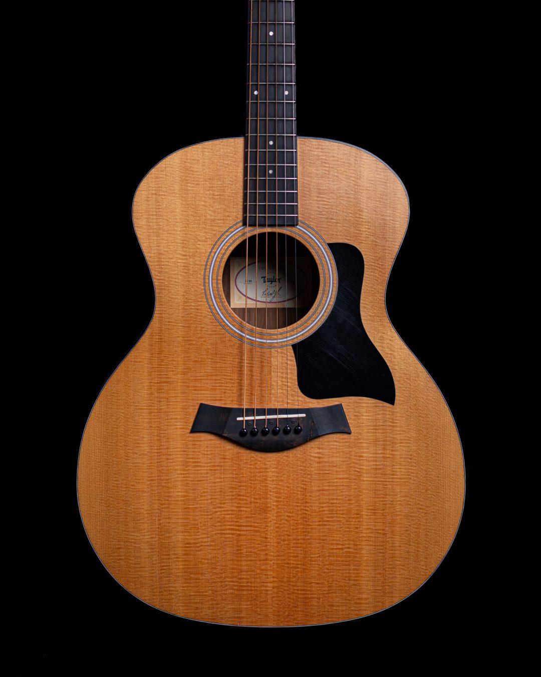 LR Baggs Element VTC Nylon - Singular Guitar