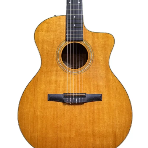 [Site]Taylor 214Ce_N-1 copiar